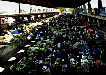 Brasil desenvolve políticas para reduzir o desperdício de alimentos