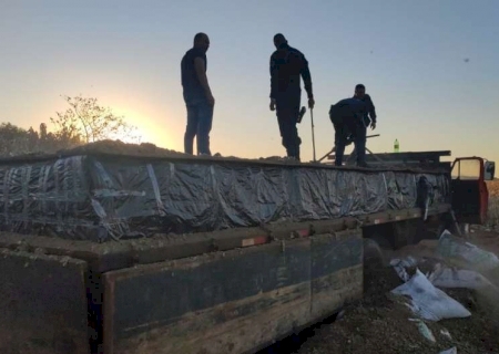 Polícia apreende mais de oito toneladas de maconha em Distrito