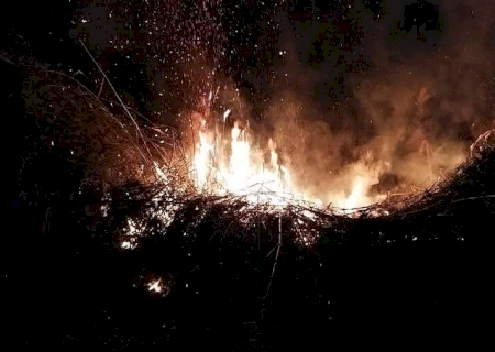 Bombeiros de Dourados combatem incêndio em bambuzal