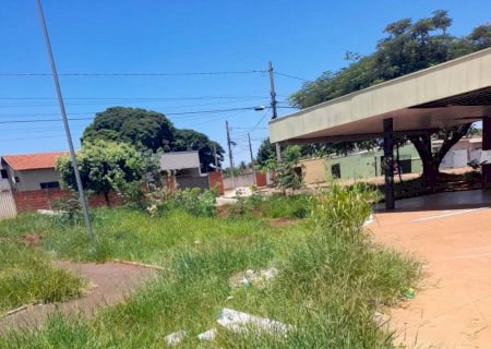 Prefeitura Deixa De Fazer o Dever De  Casa e Campo Do Zé Tabela se Transforma em Matagal