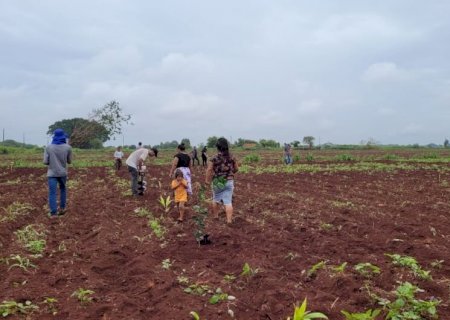 Sistema Agroflorestal será implantado na aldeia indígena Panambizinho