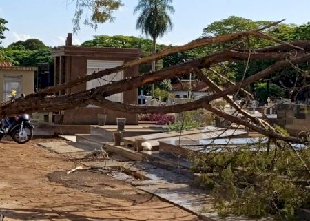 Cemitério de dourados