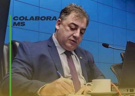 Para incentivar a doação de parte do imposto de renda para entidades que atendem as crianças e adolescentes com espectro autista em Mato Grosso do Sul