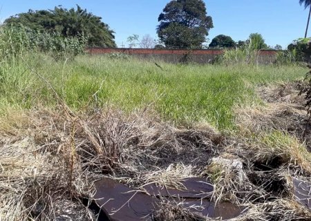Moradores da Vila Industrial Reclamam de Terreno Baldio Está Servindo de Esconderijo Para Bandidos