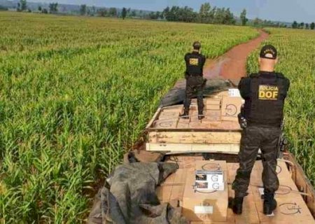 Contrabandista abandona carreta com cigarros paraguaios em milharal em MS