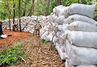 Mais de 50 toneladas de maconha são apreendidas na fronteira