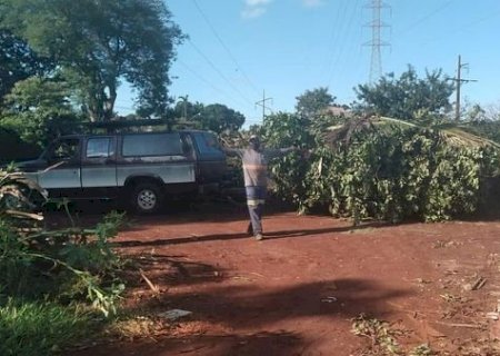Prefeito Não dá Atenção e Ecoponto do Parque das Nações Não Cabe Mais Galhos de Arvore