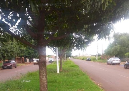 Cansados de Pedir a Limpeza e Nâo Serem Atendidos,Comerciantes se Unem Para Derrubar Matagal