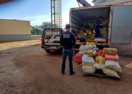 Polícia Civil incinera cerca de 15 toneladas de drogas em Dourados