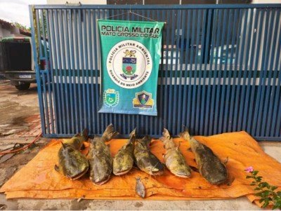 PMA autua 12 infratores, aplica 163 mil em multas, prende e autua 5 por crimes de pesca predatória e apreende 117 kg de pescado