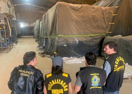 Mais de 4 mil toneladas de feijão-caupi com resíduo de agrotóxico proibido é apreendido em ação conjunta em Mato Grosso