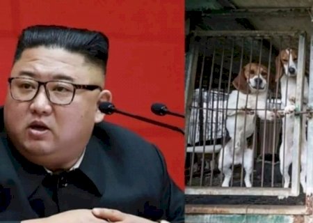 Ter cachorro de estimação está proibido na Coreia do Norte, diz jornal