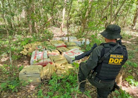 DOF apreende mais de 670 quilos de maconha ‘abandonados’ em mata