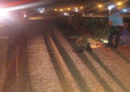 Cavalo morre atropelado em Dourados