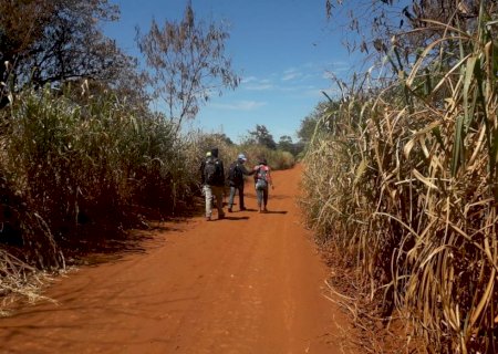 Sobrinhos tentam matar tio a pauladas durante velório da avó em comunidade indígena de MS