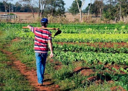 Comissão aprova isenção de multa para trabalhador rural aderir ao Regime Geral de Previdência Social