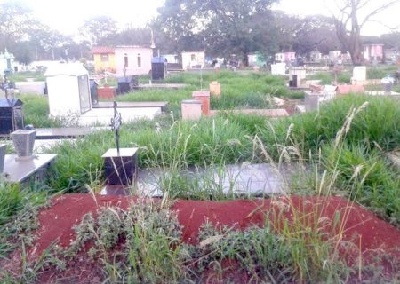 Cemitérios de Dourados Serão Avaliados Por Pericia Judicial