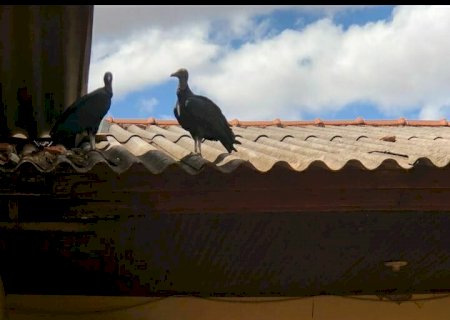 Enquanto Dourados Brilha, Saúde Fica na Penumbra