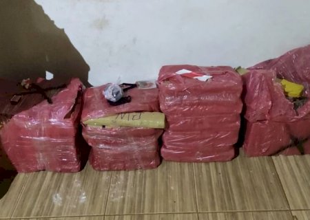 Após atender tentativa de homicídio, polícia encontra quase 200kg de maconha