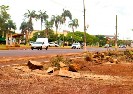 Obra de duplicação da Coronel Ponciano entra na fase de remoção de árvores e realocação de postes