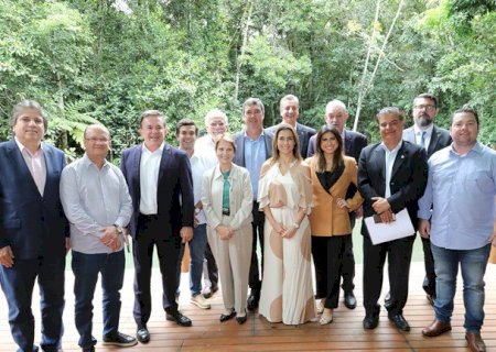 Riedel reúne bancada federal e discute ações por MS