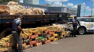 Carreta de Dourados com 1 tonelada de maconha em meio a carga de reciclados é apreendida