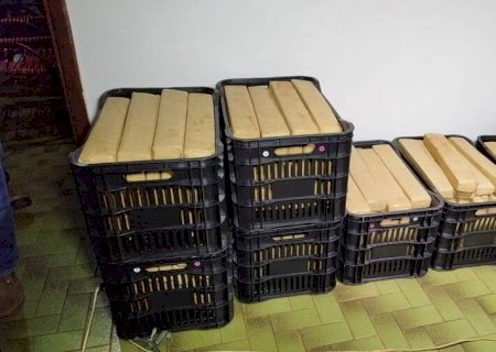 Polícia fecha entreposto de maconha e leva jovem para delegacia