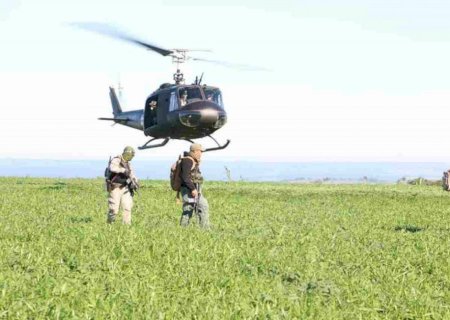 Polícia Federal e Senad deflagram nova operação em fazendas de maconha