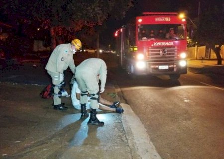 Homem sofre queda ao passar em quebra-molas sem sinalização