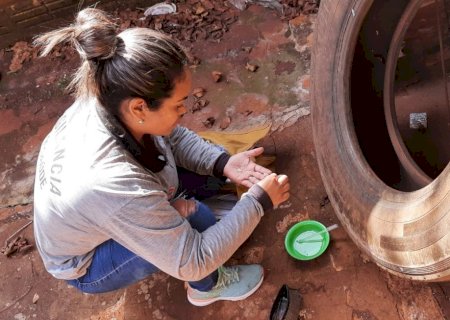 CCZ realiza ação de combate ao Aedes aegypti em Vila Vargas nesta semana