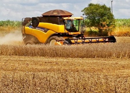 Produção agrícola de MS deve aumentar 10% em um ano e superar 70 milhões de toneladas