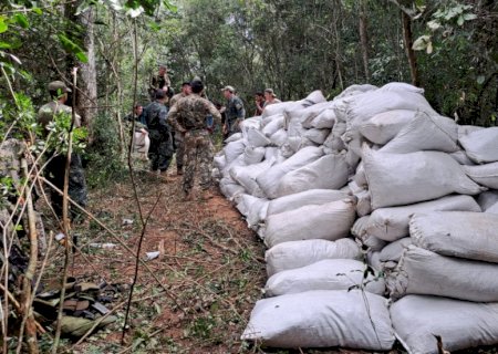 Operação da Senad dá 'golpes' de quase 20 milhões de dólares ao narcotráfico