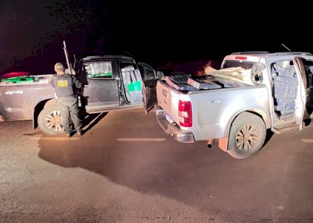 DOF apreende quase 4 toneladas de maconha em veículos roubados no Paraná