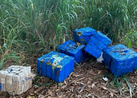 Carga de maconha escondida em mata é apreendida e um acaba preso