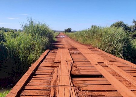 Lia Nogueira pede pontes de concreto