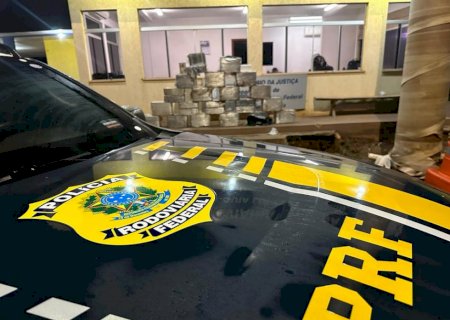 PRF apreende 460 quilos de cocaína em caminhão na BR-267