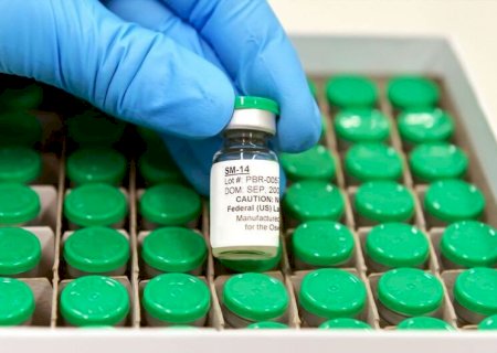 Vacina contra esquistossomose estará disponível no SUS em 2025