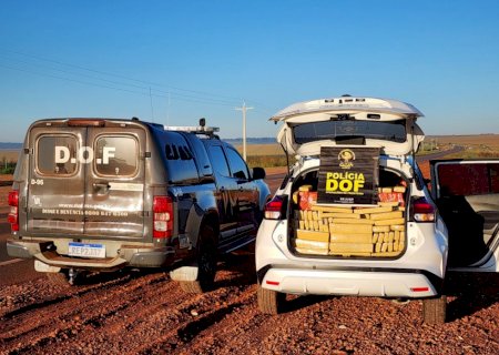 Polícia apreende carga de maconha ‘abandonada’ e avaliada em quase R$ 2 mi