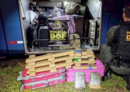 Passageira de ônibus é presa com 30 quilos de maconha