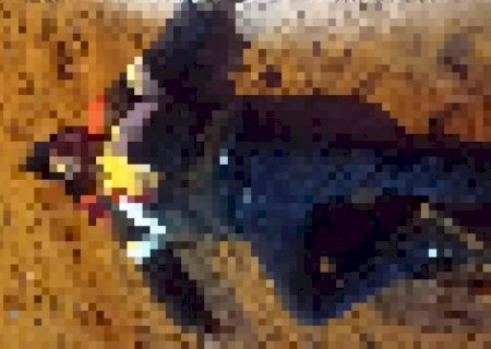 Adolescente de 14 anos é morto atingido por facada no pescoço