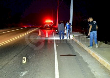 Douradense atropela tamanduá, bate em poste e morre em Rondonópolis