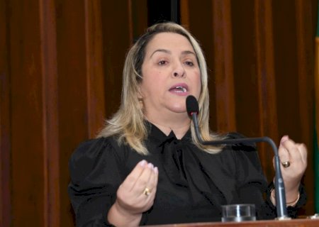 Drenagem, Pavimentação e troca de ponte são solicitadas por Deputada Lia Nogueira