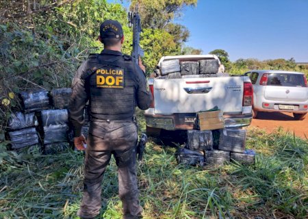 Polícia apreende mais de 830 quilos de maconha escondidos em mata