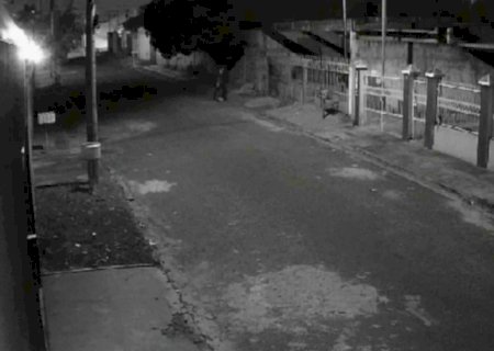 Polícia apreende adolescente suspeito de golpear e matar homem a garrafada