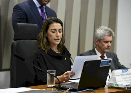 Relatório de Soraya defende marco temporal para demarcações