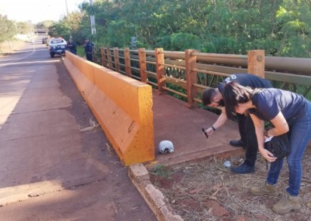 Crânio humano é encontrado em ponte no Jardim Universitário