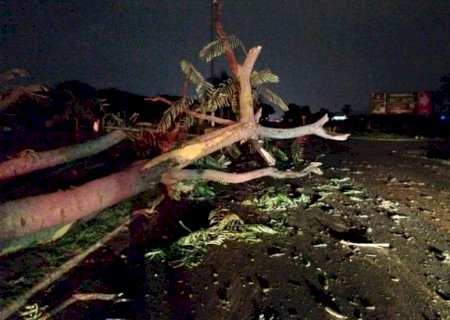 Em 10 minutos choveu quase 40mm em Dourados; ventos ultrapassaram 90km/h