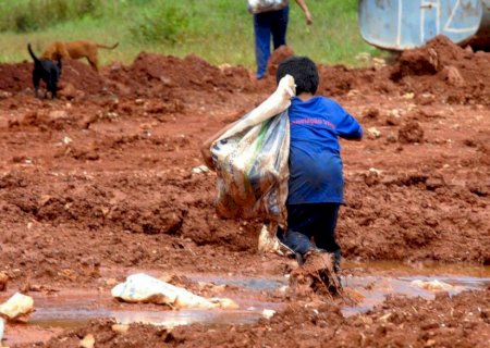 Justiça condena Cargill por contribuir com rede de trabalho infantil