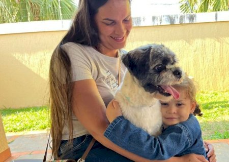Programa de Castração de Cães e Gatos reabre inscrição na 2ª