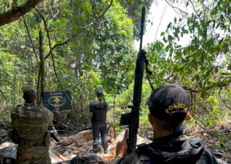 Polícia apreende quase uma tonelada de agrotóxicos em meio a mata